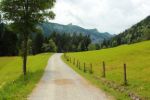 2014-07-05_Laengental-N-Hochweg (266). JPG